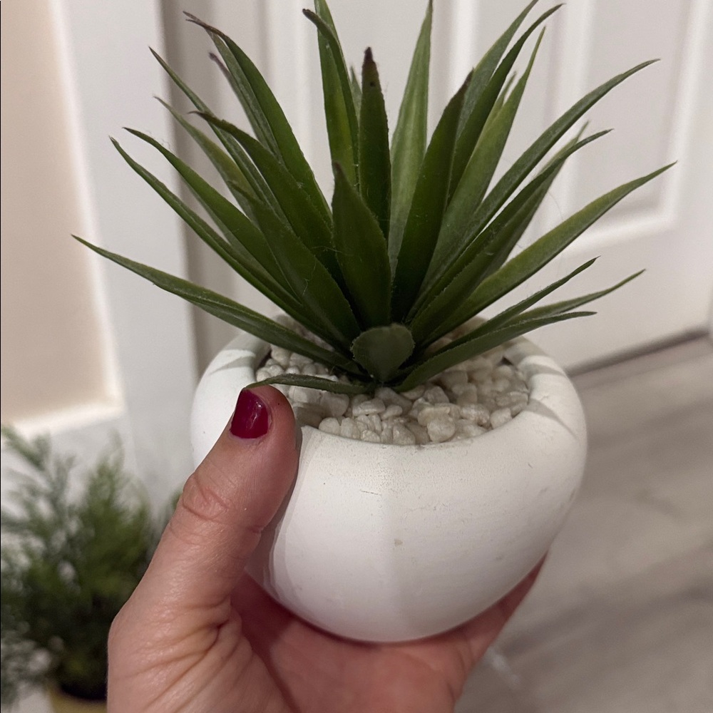 Green Artificial Plant Set in White and Tan Pots - Picture 3 of 5
